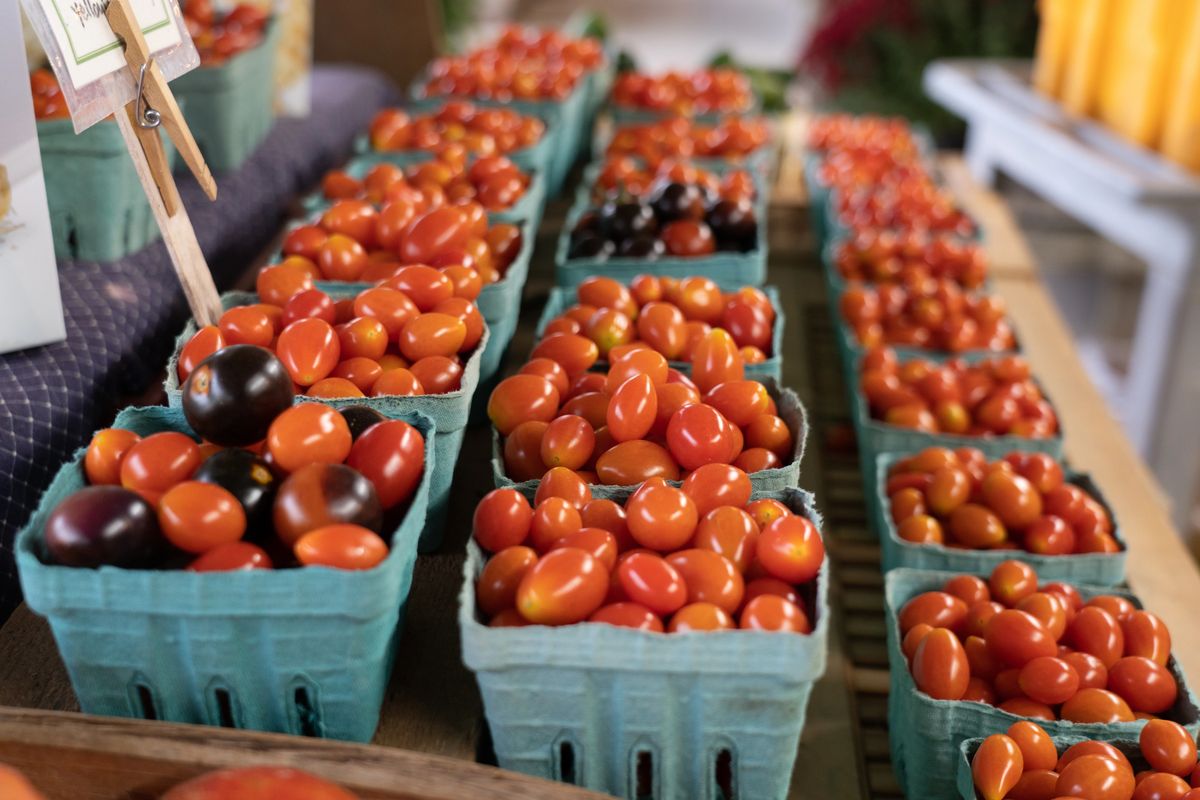 Picture of about 24 small fruit cartons of grape-sized tomatos