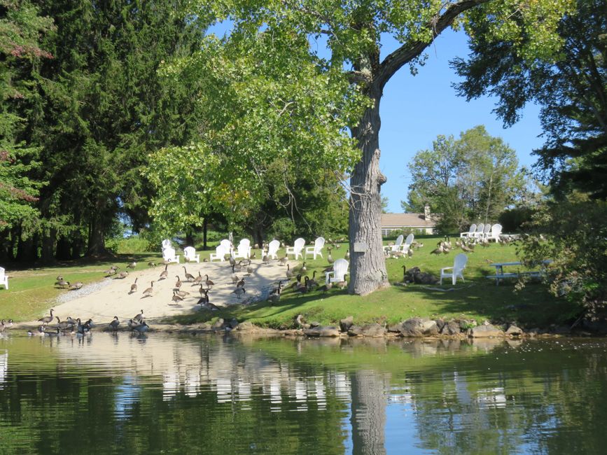 News Richmond Pond Association