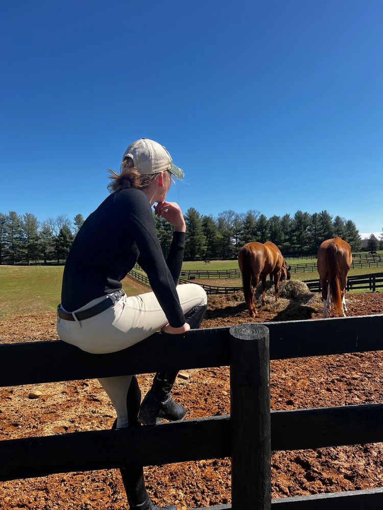 Middleburg Equestrian Camp
