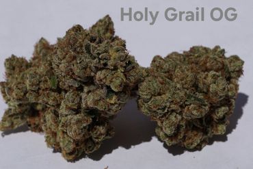 Close-up of Holy Grail OG cannabis buds with visible trichomes.