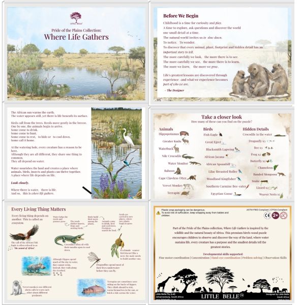 Pride of the Plains educational collection about African wildlife and nature.