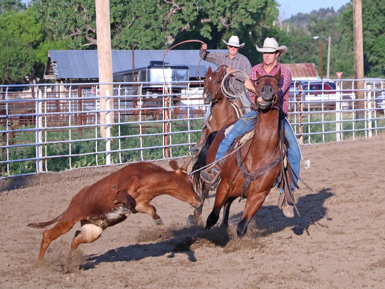 Fall River County Fair