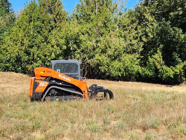 Orange skid steer loader on a dry grassy field near green pine trees under a clear blue sky.