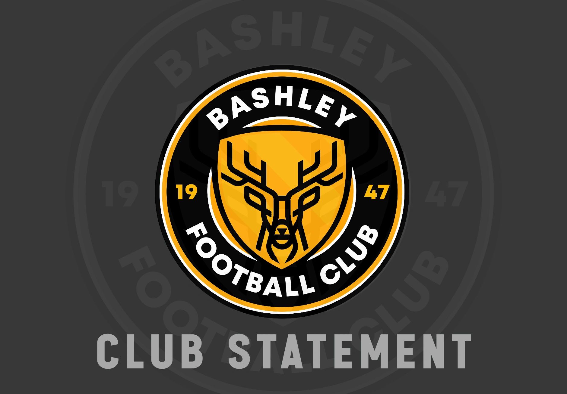 bashley-fc.com