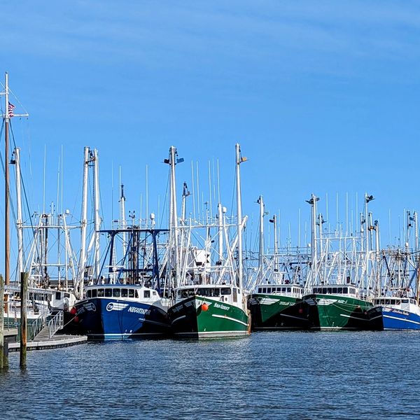 Fishing boats next to the Lobster House at Schellenger's Landing in Cape May Harbor