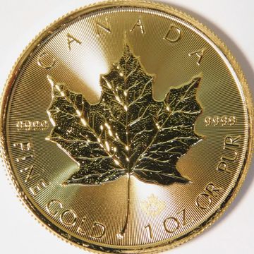 Close-up of a gold Canadian Maple Leaf coin.