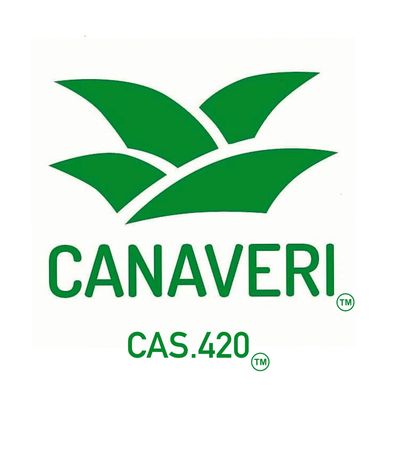 Green Canaveri logo with stylized leaves and text CAS.420.