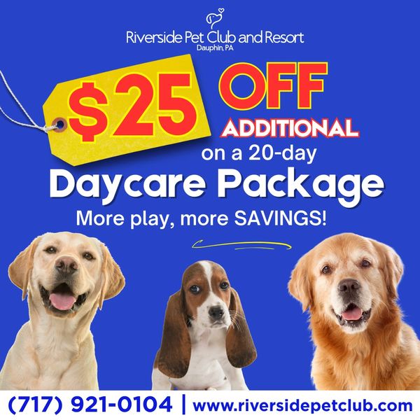 October Special 🎉Receive an additional $25 OFF a 20-pack of Doggy Daycare Days—must be prepaid by O