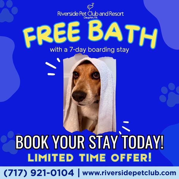 October Special #2 🛁 Book 7 days of boarding this month and get a FREE bath before pickup. Fresh, c