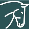 Equestrian Visa Lawyer

