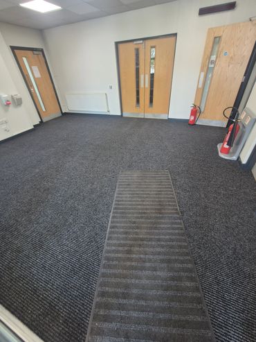 Empty room with carpeted floor and three wooden doors.