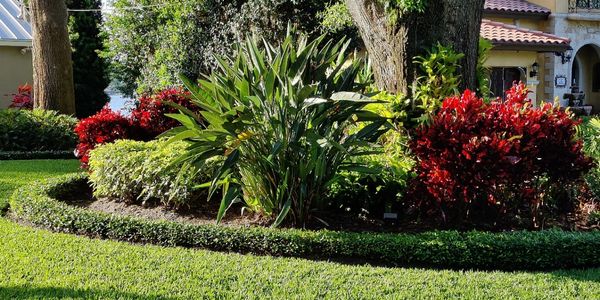 Lawn, shrub and trees well maintained, trimmed and fertilized. 