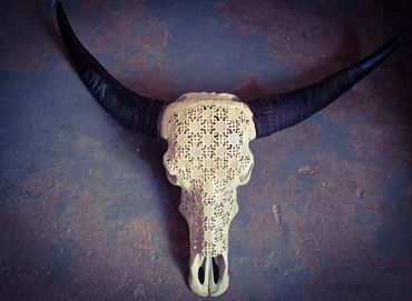 Artistic carved water buffalo skull with rich dark horn texture

