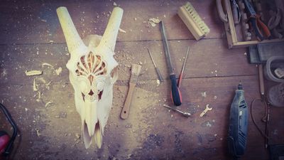 Intricately carved animal skull and woodworking tools on a dusty surface.