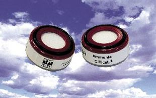 image11