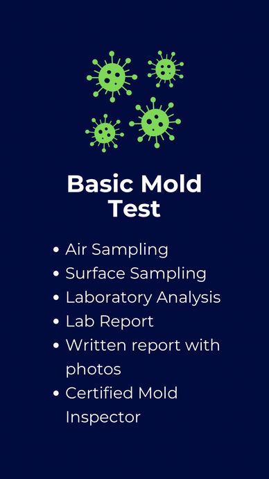 Basic Mold Test Los Angeles and Orange County