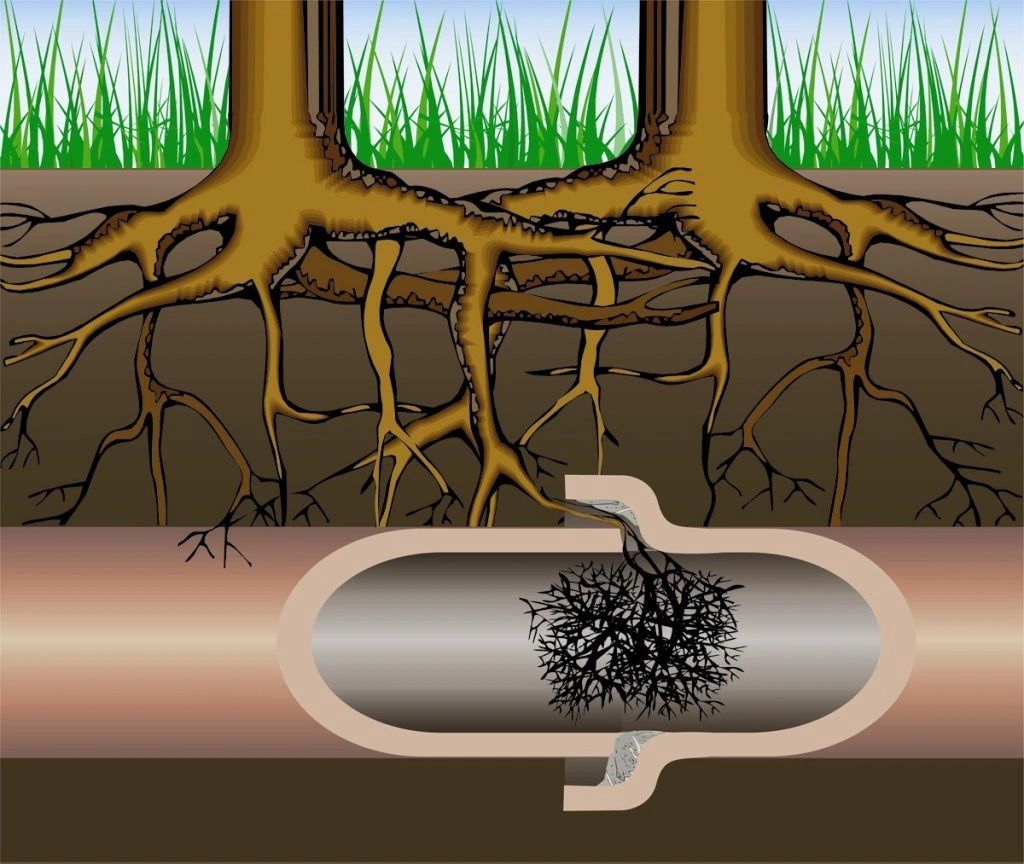 sewer line inspection ct