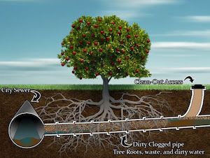 Offset sewer pipe, sewer inspection, Villa Home Inspections, Tony Escamilla