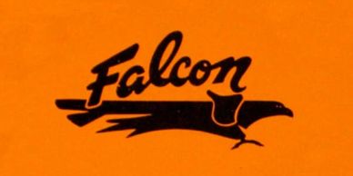 Logo showing a stylized falcon with the word Falcon.