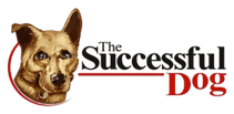 The Successful Dog
