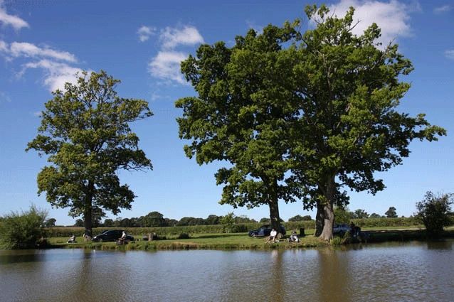 STAUNTON COURT FISHERY (GL19 3QS)