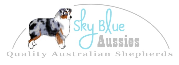 Sky Blue Aussies