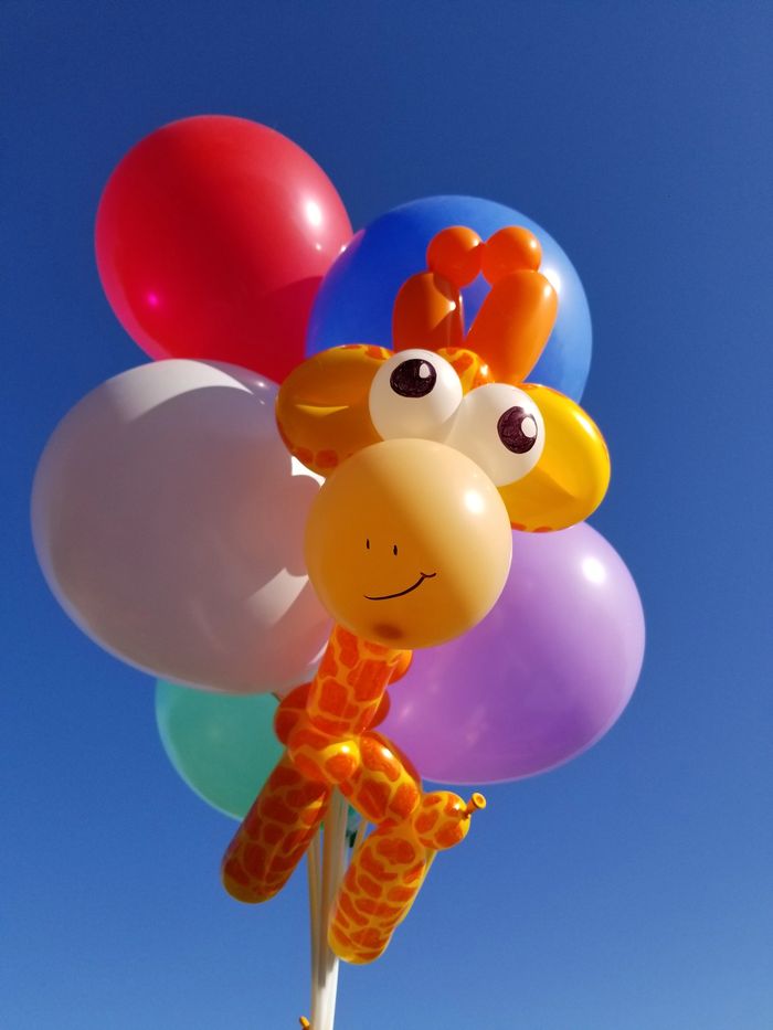 Twisted balloon giraffe with a cluster of colorful floating balloons. Fancy balloon animals!