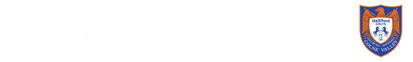 Halliford Colts FC