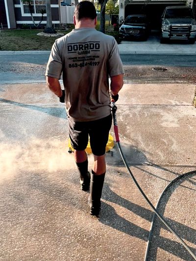 Driveway cleaning—Champions Gate area, Davenport FL