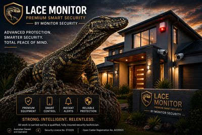 Lace Monitor security system protects home from threats like a large monitor lizard.