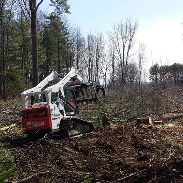 Land clearing