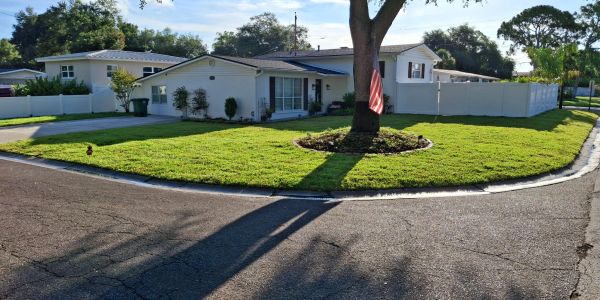 Single-story white house with a curved driveway and large tree.