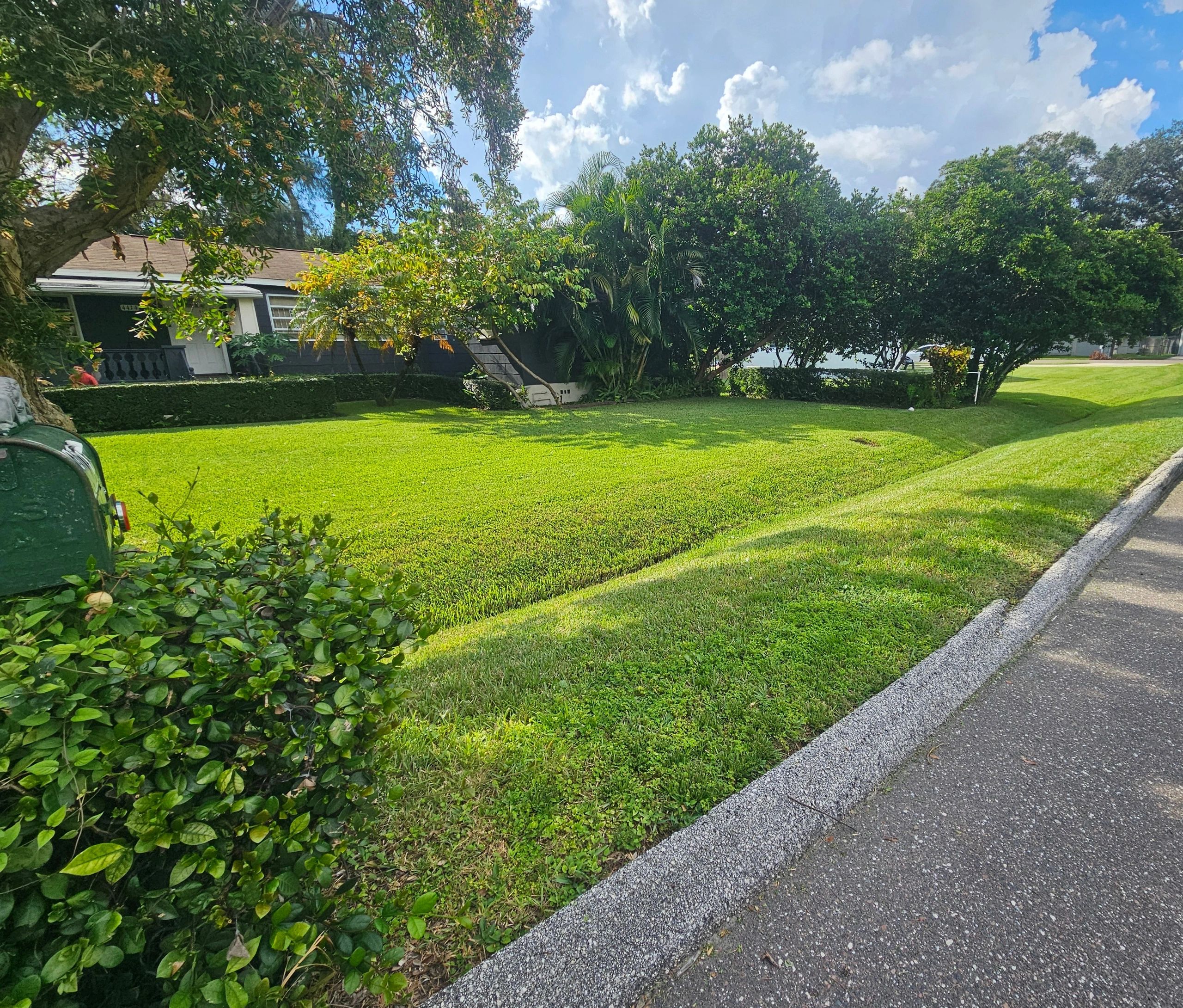 Green lawn with bushes and trees near a house and a road.