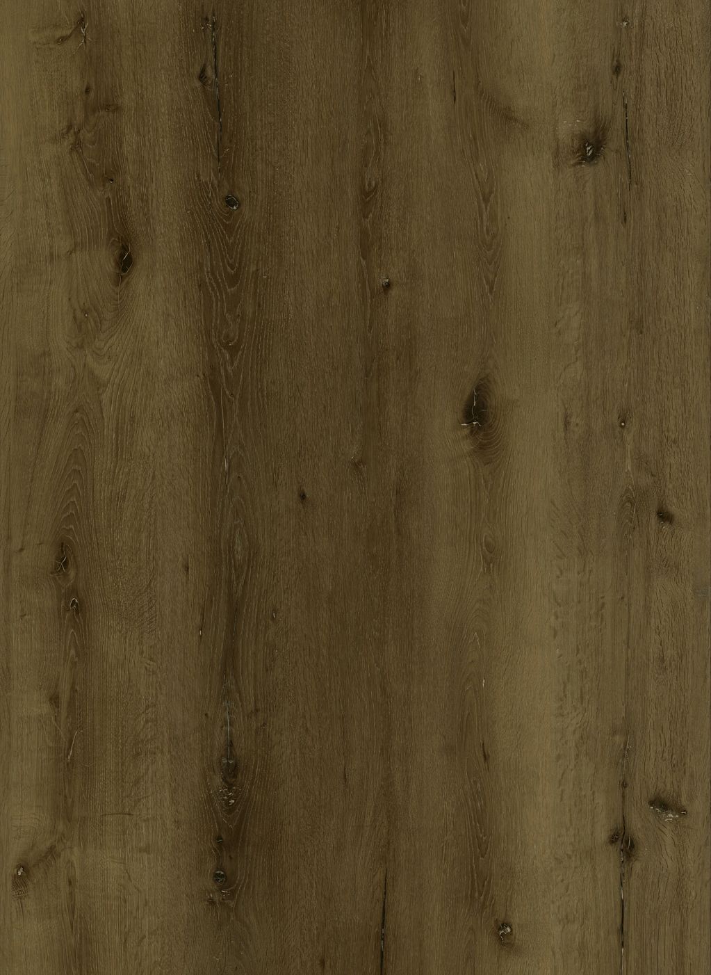 GALACTIC FLOORING
DEL MONTE COLLECTION
3 LIES KW297L-08