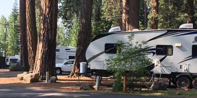 A travel trailer parked among tall trees at a campsite.