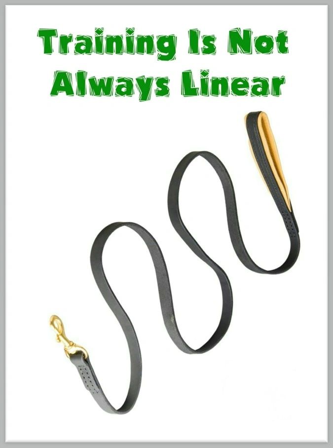 Training Is Not Always Linear