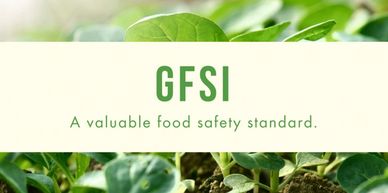 GFSI Consulting Services