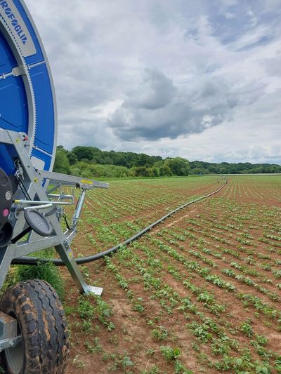 Crop irrigation