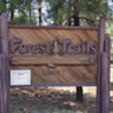 Wooden sign reading Forest Trails in a forested area.