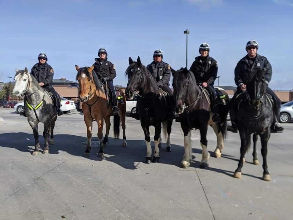 Horses Omaha Mounted Foundation