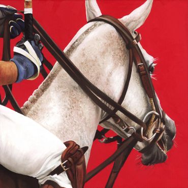 White polo horse with bridle and rider.