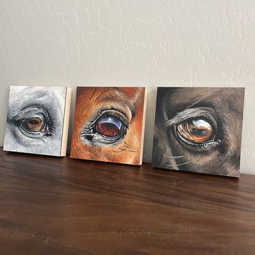 3 square paintings of horse eyes.