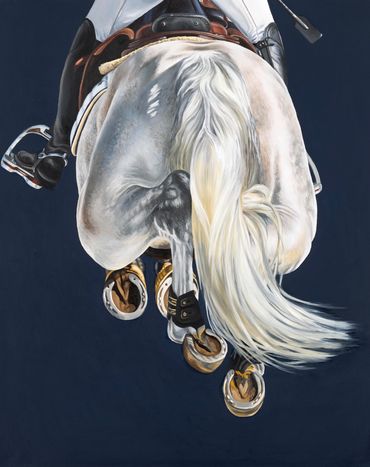 Gray horse on blue background.