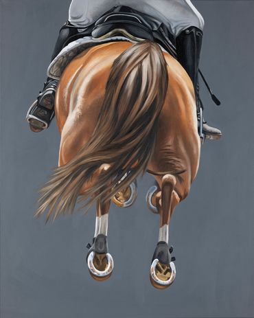Chestnut jumping horse on a gray background