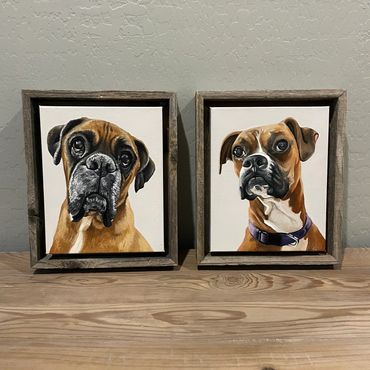 2 Boxer dog painting in frames. 