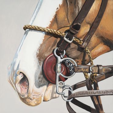 Chestnut polo horse muzzle.