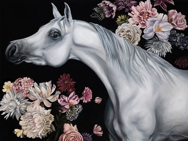 White Arabian horse on black background with flowers and butterflies