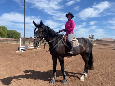 Woman sitting on a dark bay horse in a riding arena. 