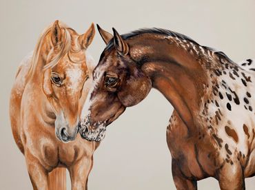 Two Appaloosa horses