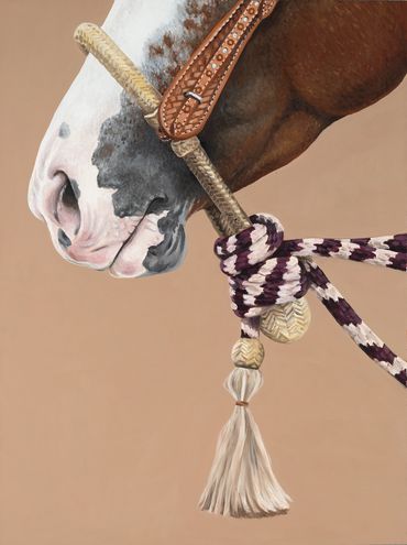Western horse with bosal